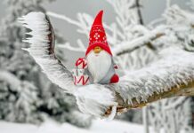 Jakie są motywy podróżowania?
