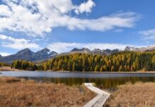 Czy na stażu jest rozmowa kwalifikacyjna?