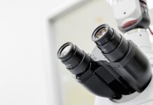 Czy pracodawca musi dać zakres obowiązków?