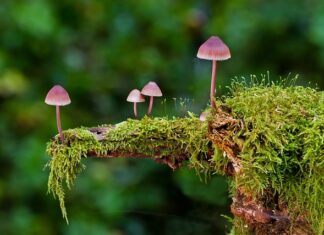 Jakie są rodzaje banków?